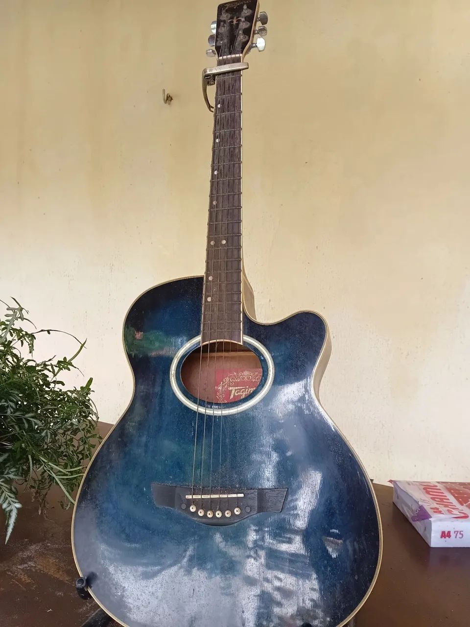 Violão profissional