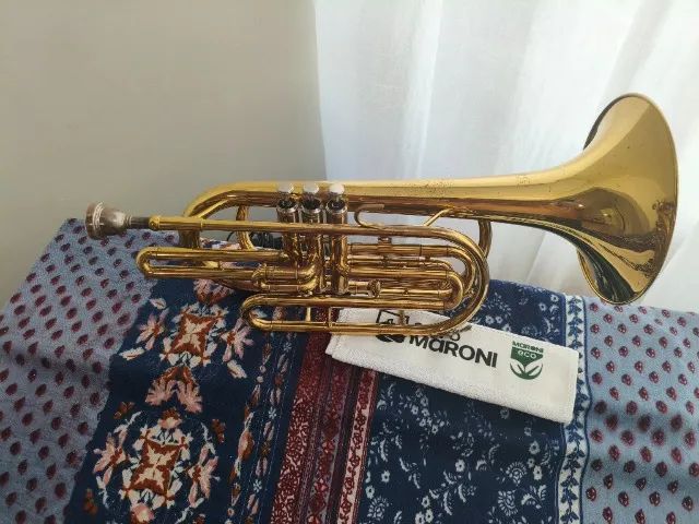 Instrumento ? Trombonito  - Foto 3