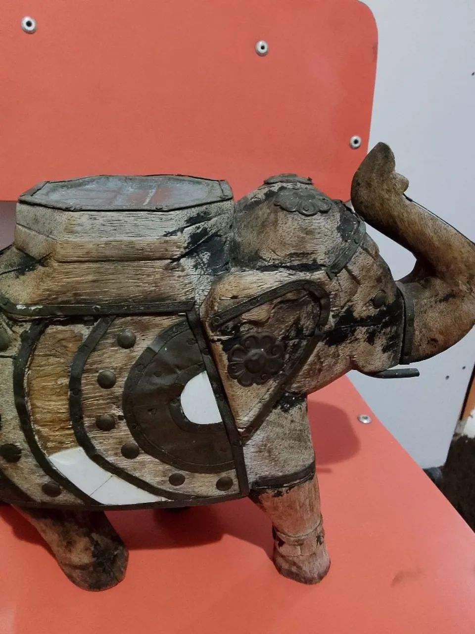 Elefante Indiano  - Foto 2