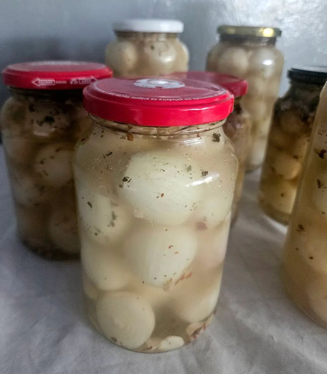 Conserva de cebola  - Foto 2