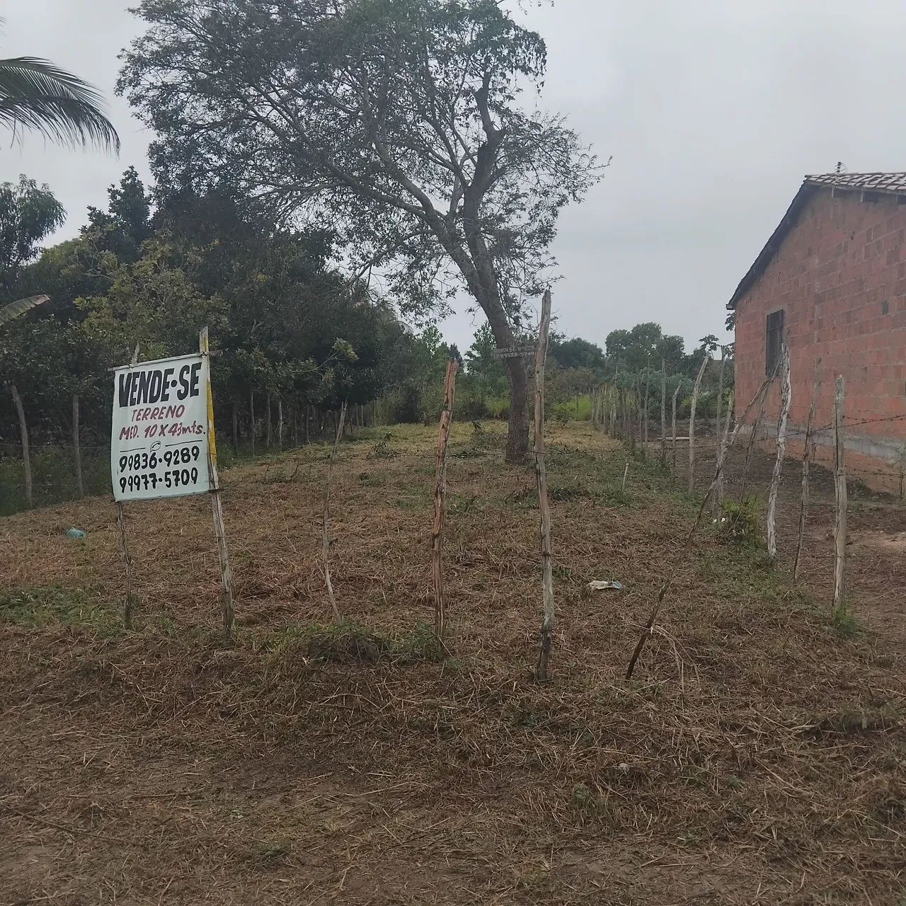 Vendo por 25 mas tem conversa - Foto 2