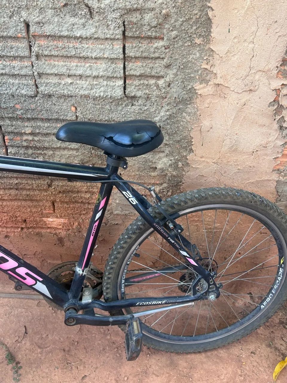 Bicicleta ecos