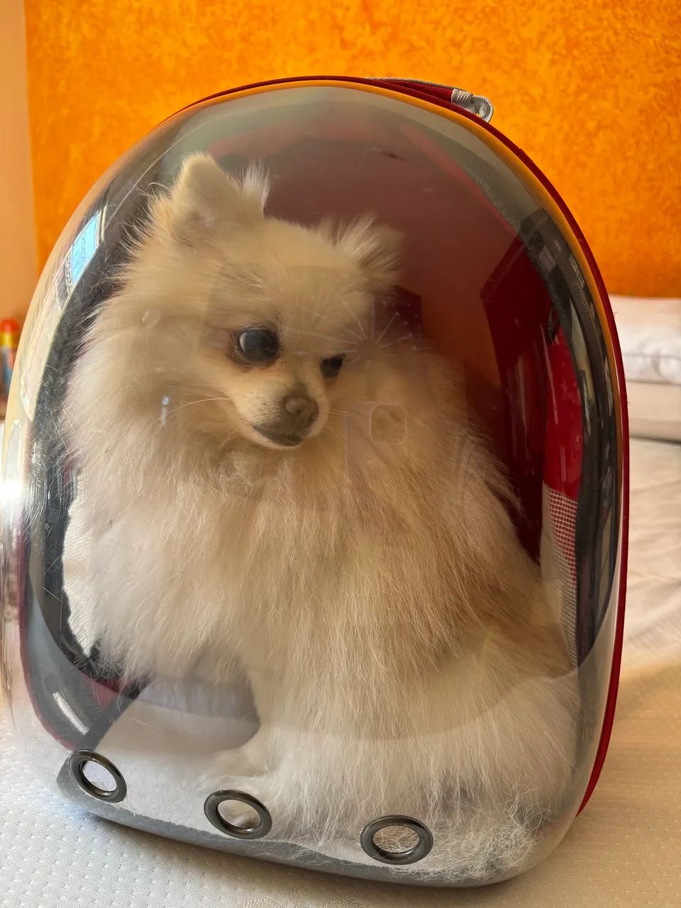 Mochila Pet Astronauta - Foto 2