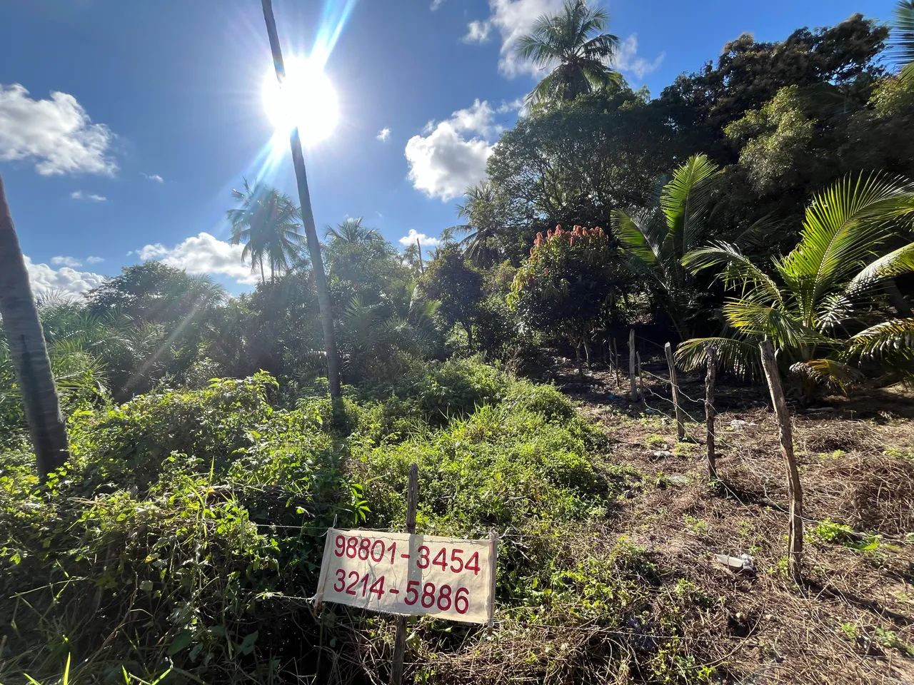 Vendo Terreno no Povoado Aningas 333mª