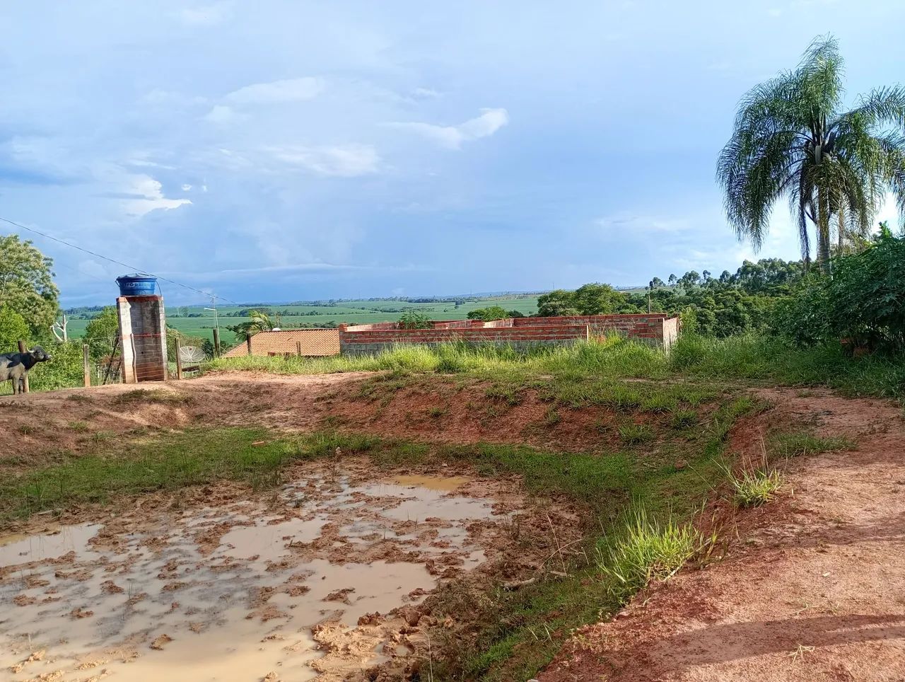 ? TERRENO A VENDA ? - Foto 4