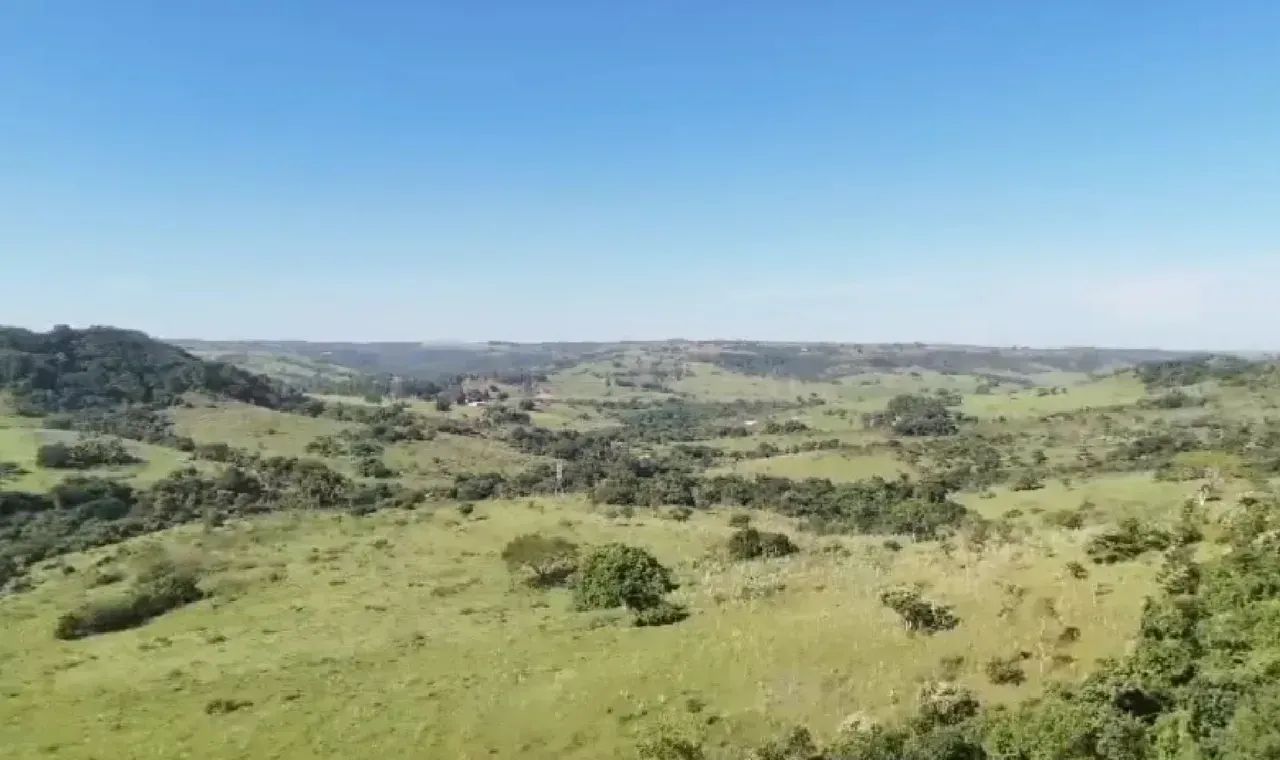 Fazenda a venda em SP. CENTRO OESTE. - Foto 4