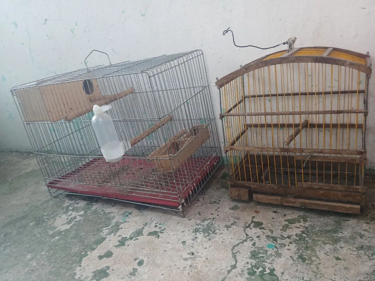 Gaiola