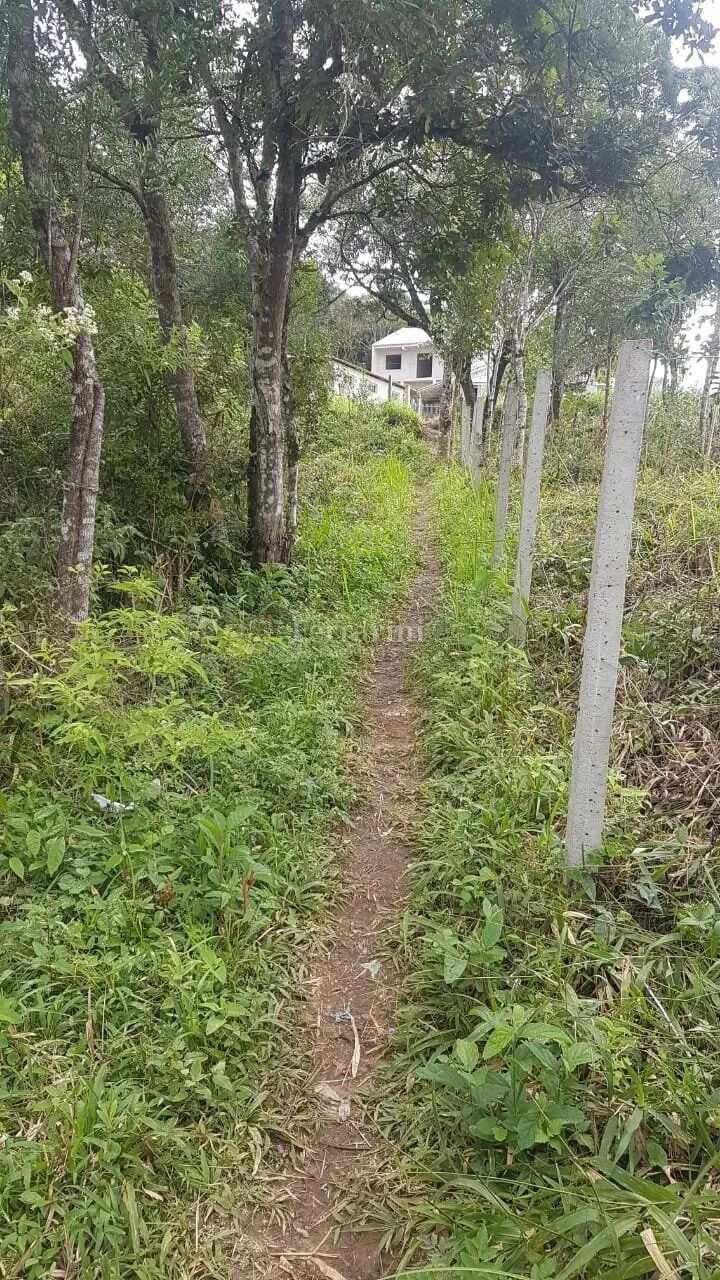 Terreno em Colombo - Foto 2