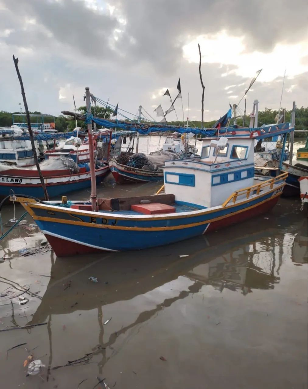 Barco para pesca 