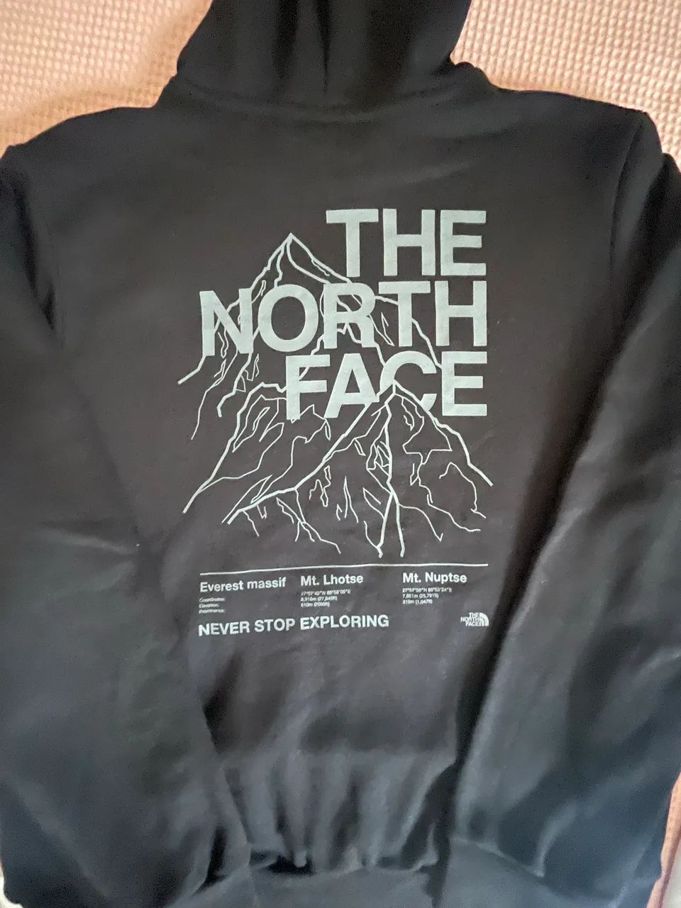 Moleton The North Face 