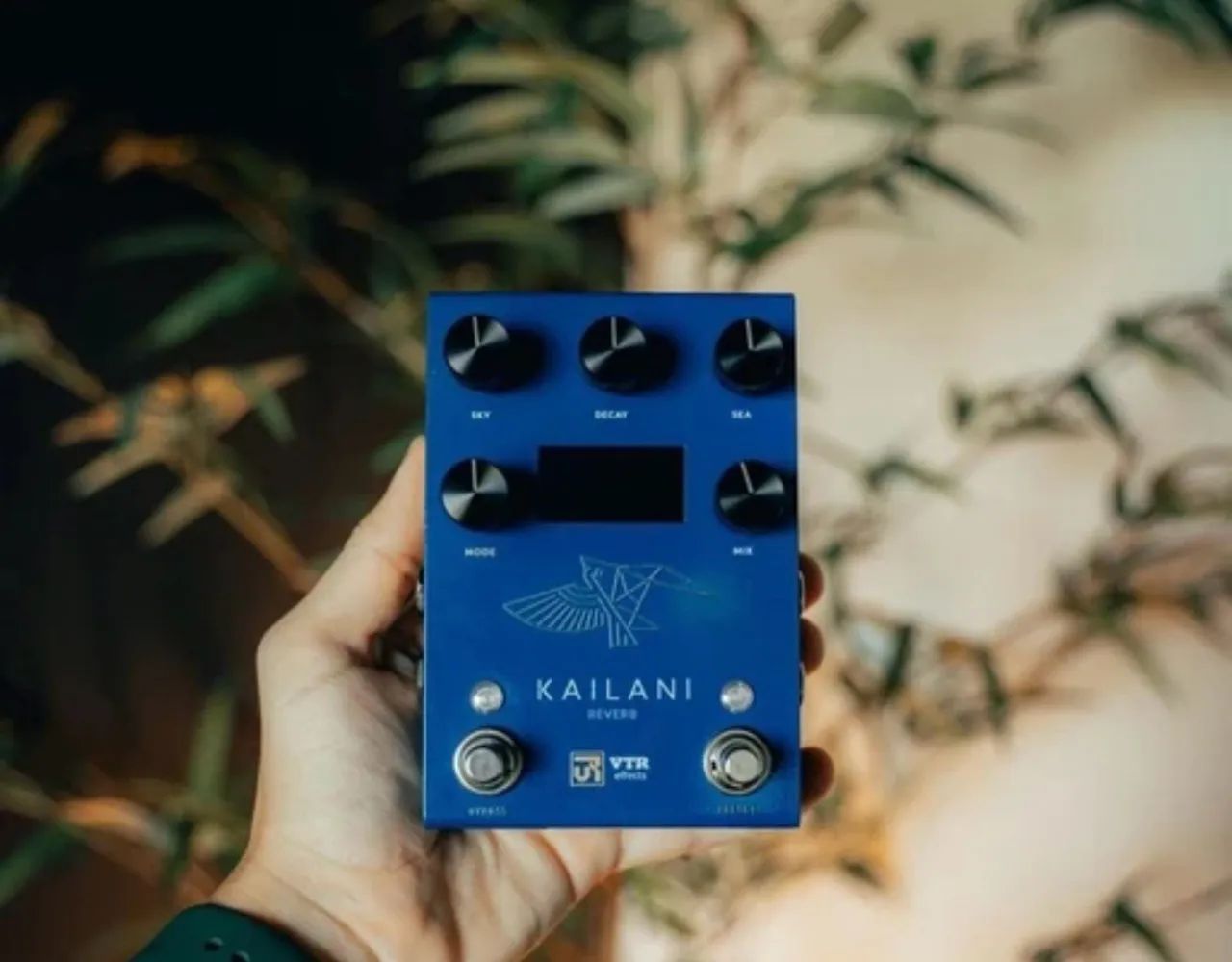 VTR kailani reverb