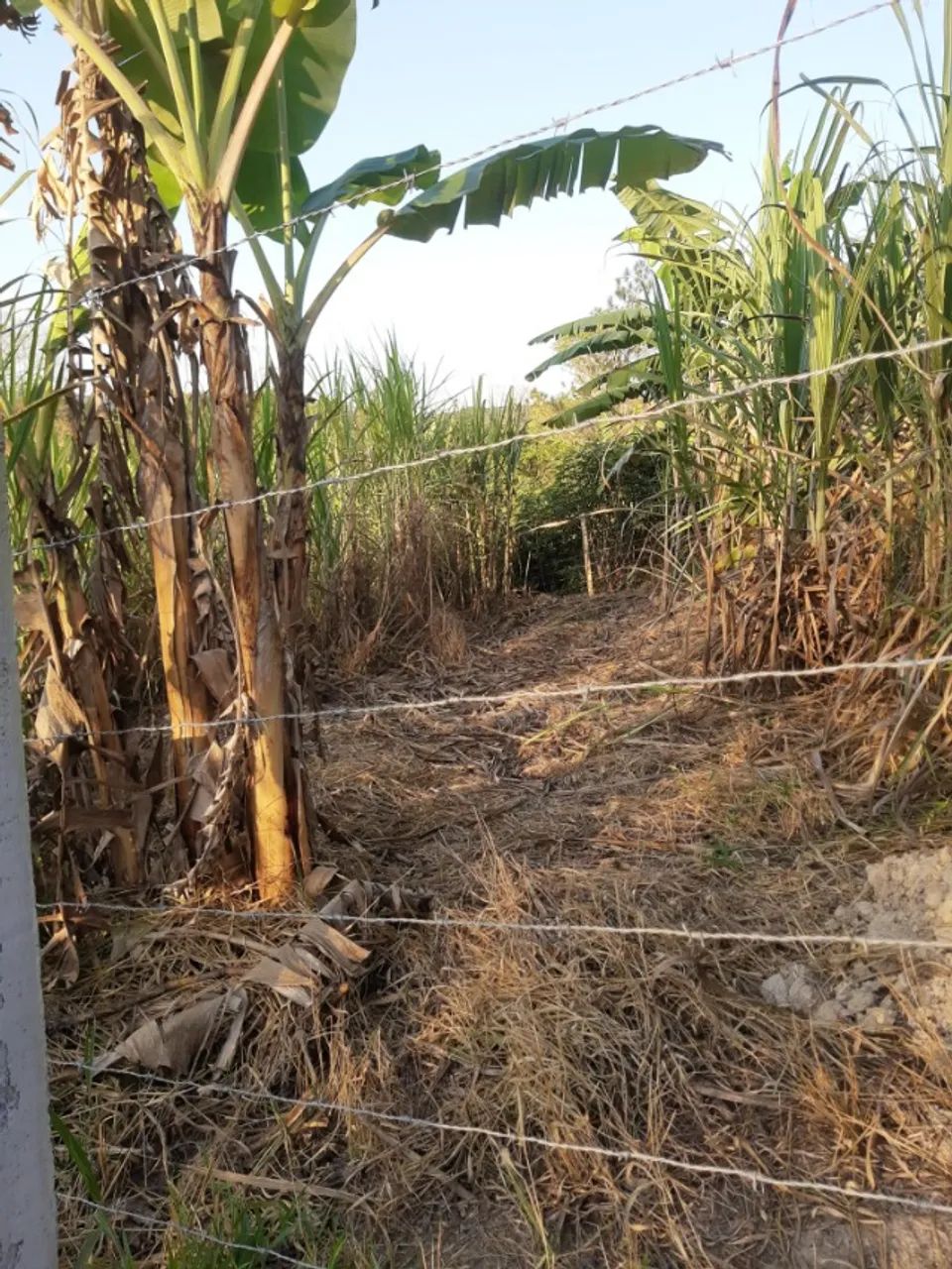 Terreno 1000 m² - Foto 3