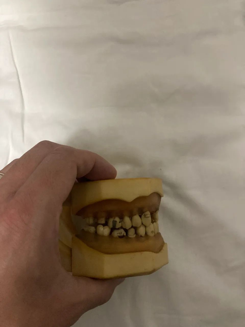 Modelo Odontologia Saúde Dentistica e Prótese 