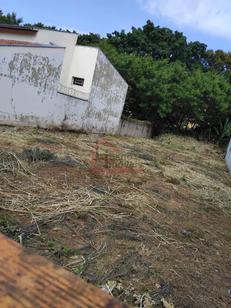 terreno - Cidade Universitária - Campinas - Foto 5