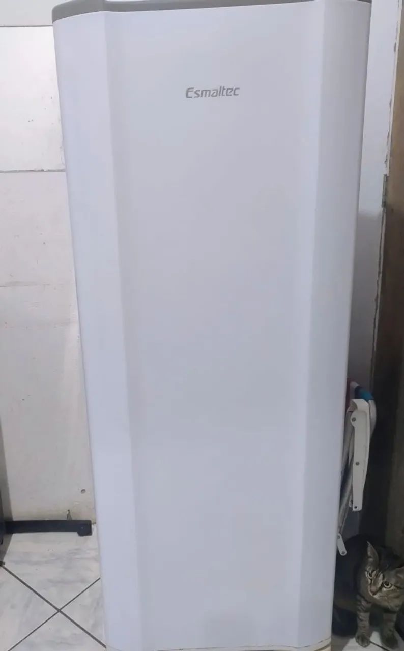 Geladeira esmaltec 