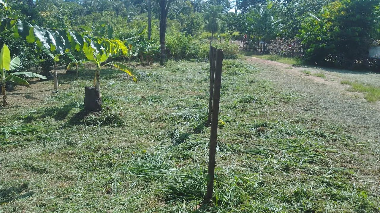 Vende-se lote no ramal do boto  - Foto 3