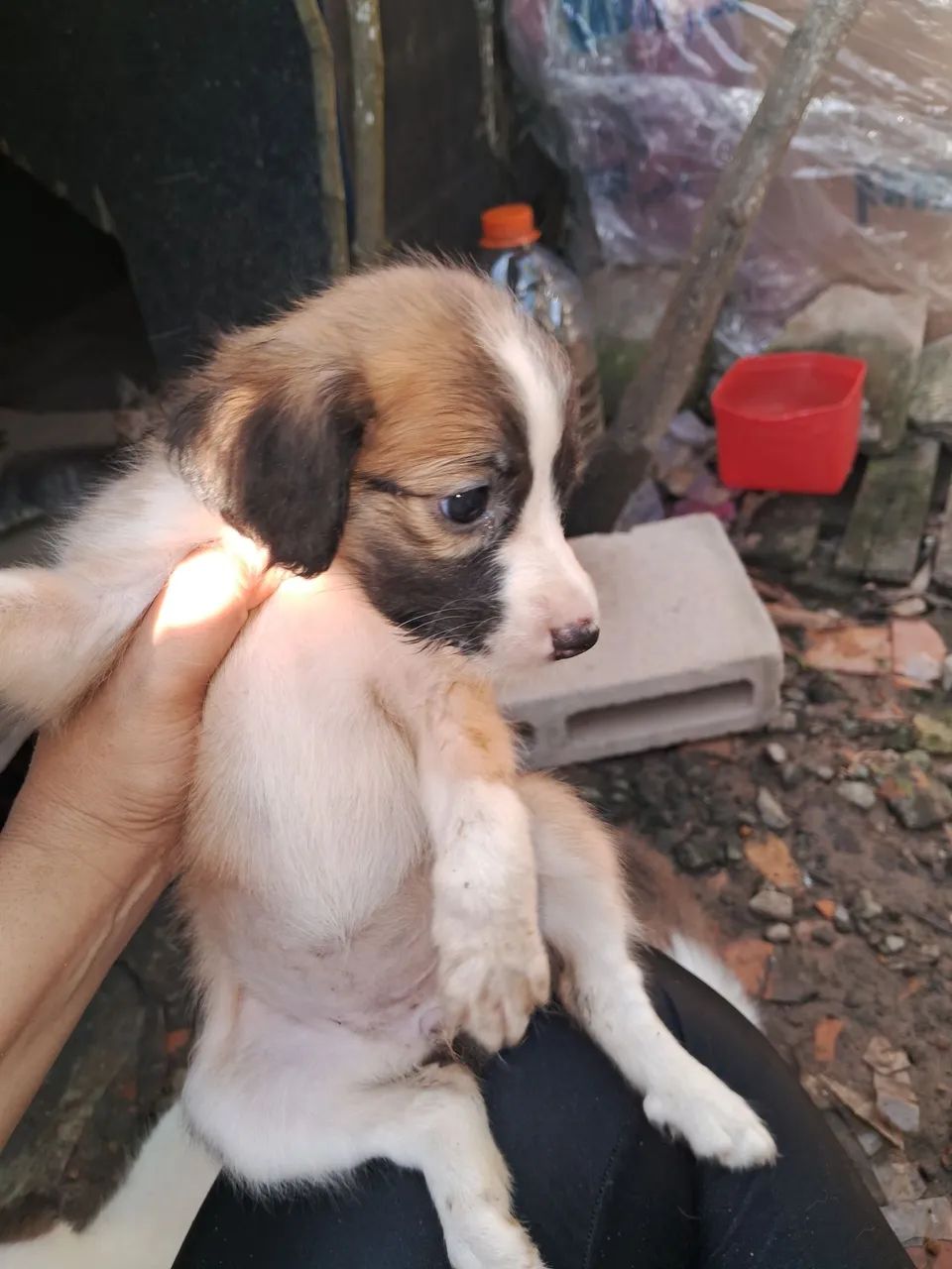 Doação  - Foto 4