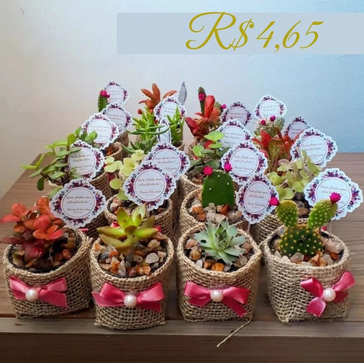 Lembrancinhas personalizadas suculentas - Foto 3
