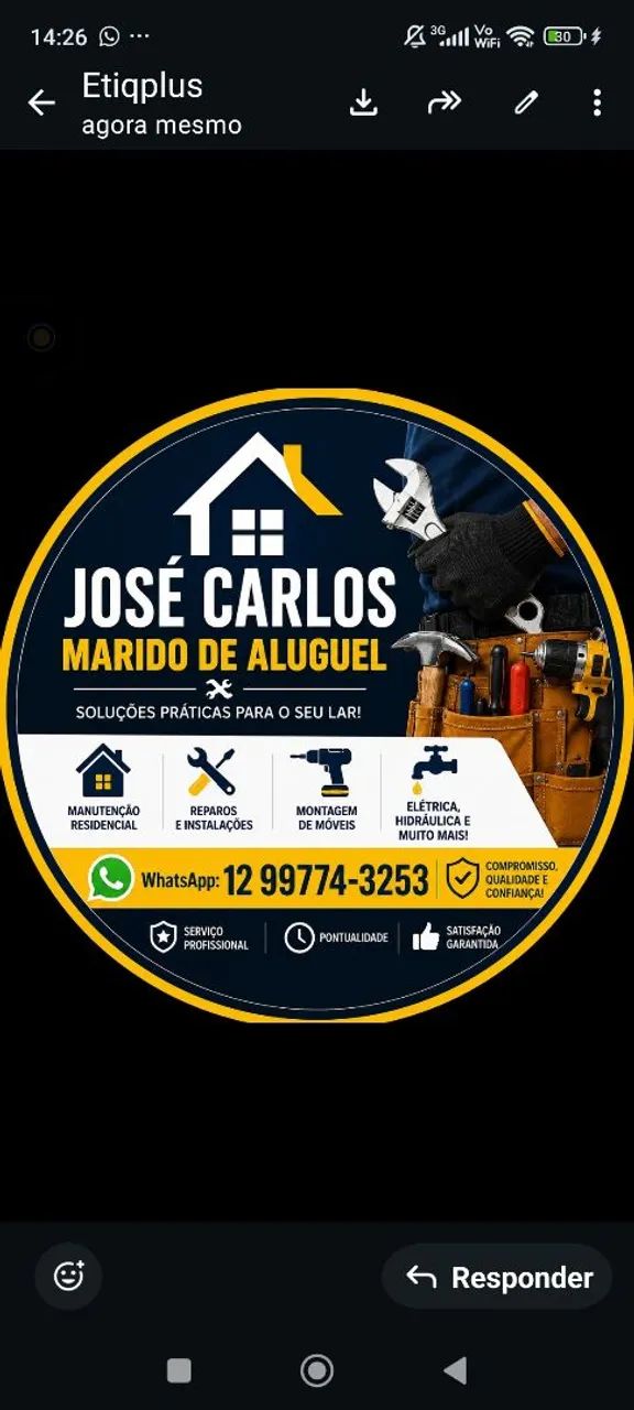 Marido de Aluguel 