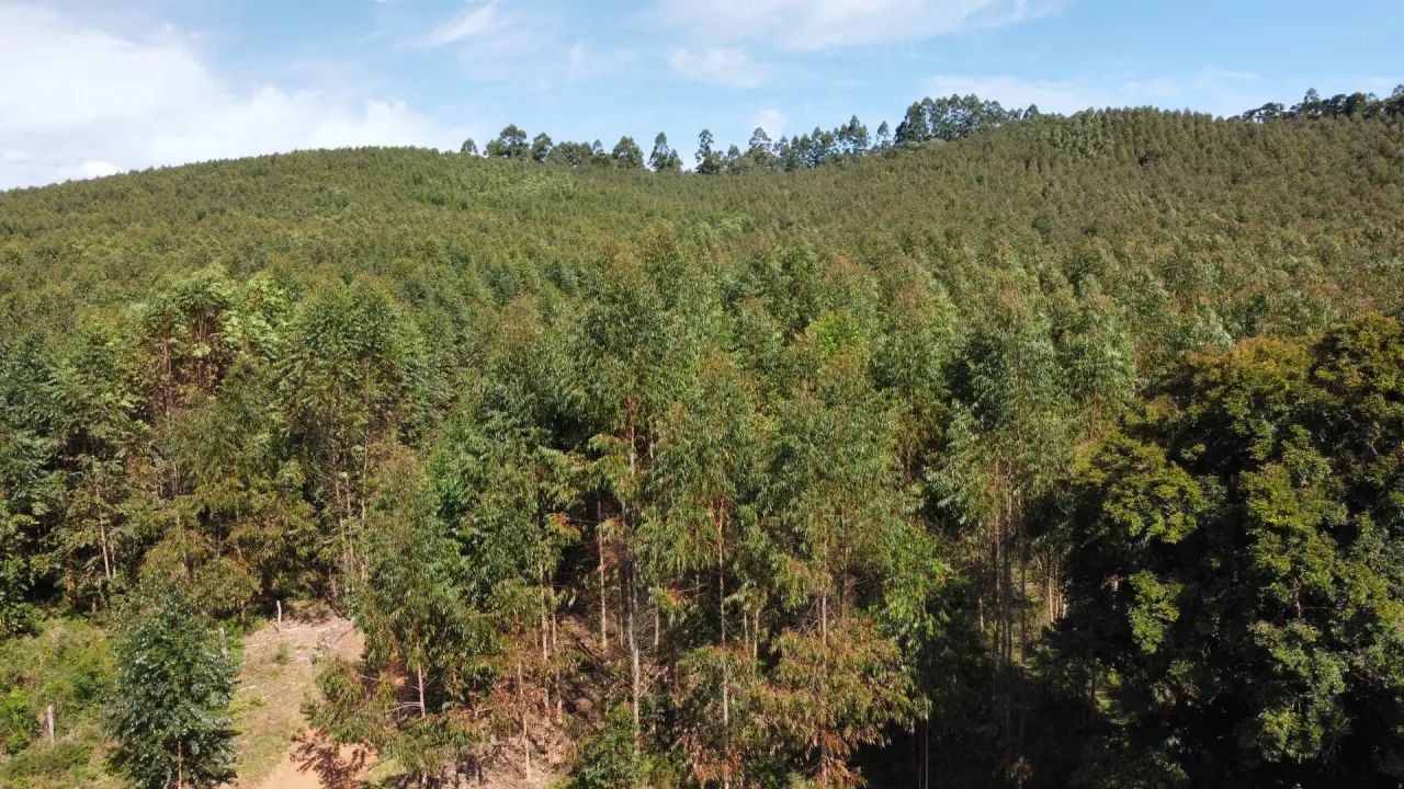 Fazenda   em Ribeirão Branco SP - Foto 3