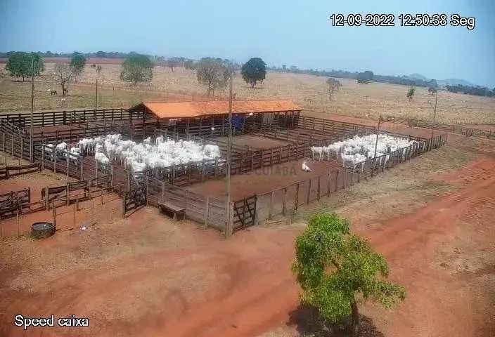 VENDO!!! FAZENDA DUPLA APTIDÃO - Foto 4