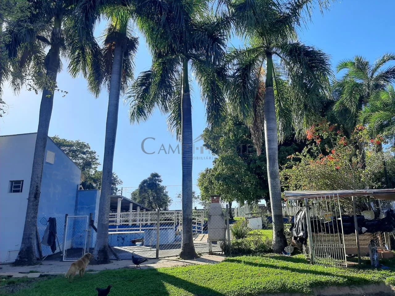 chácara - Centro - Nova Odessa - Foto 4