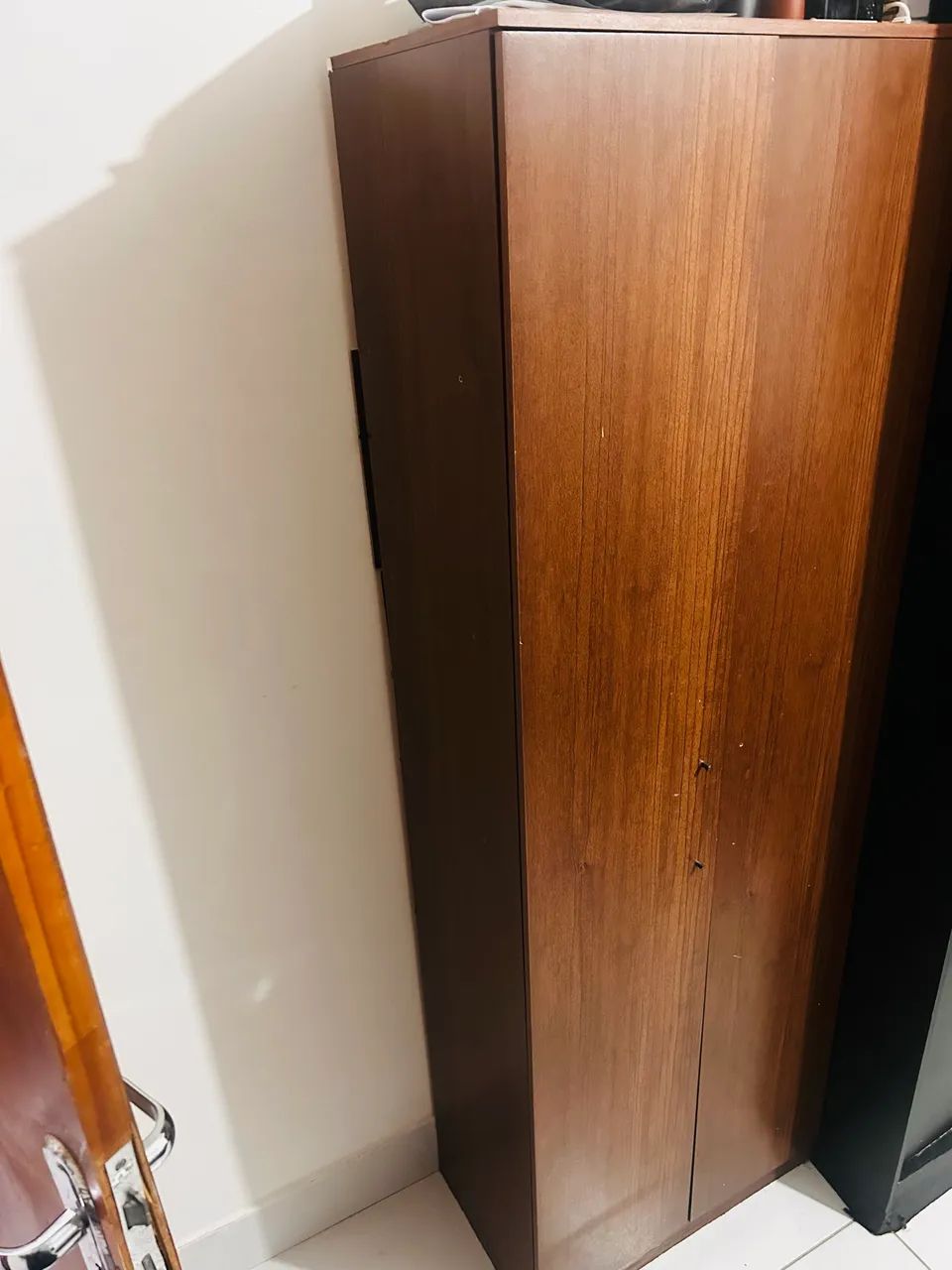 Armário Sapateiro 2 portas usado 