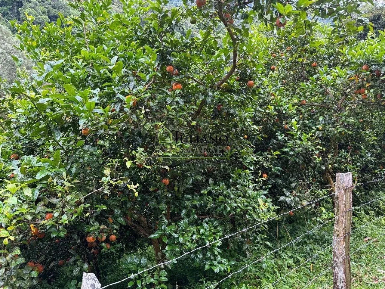 SÍTIO Á VENDA, Anitápolis SC - Foto 5