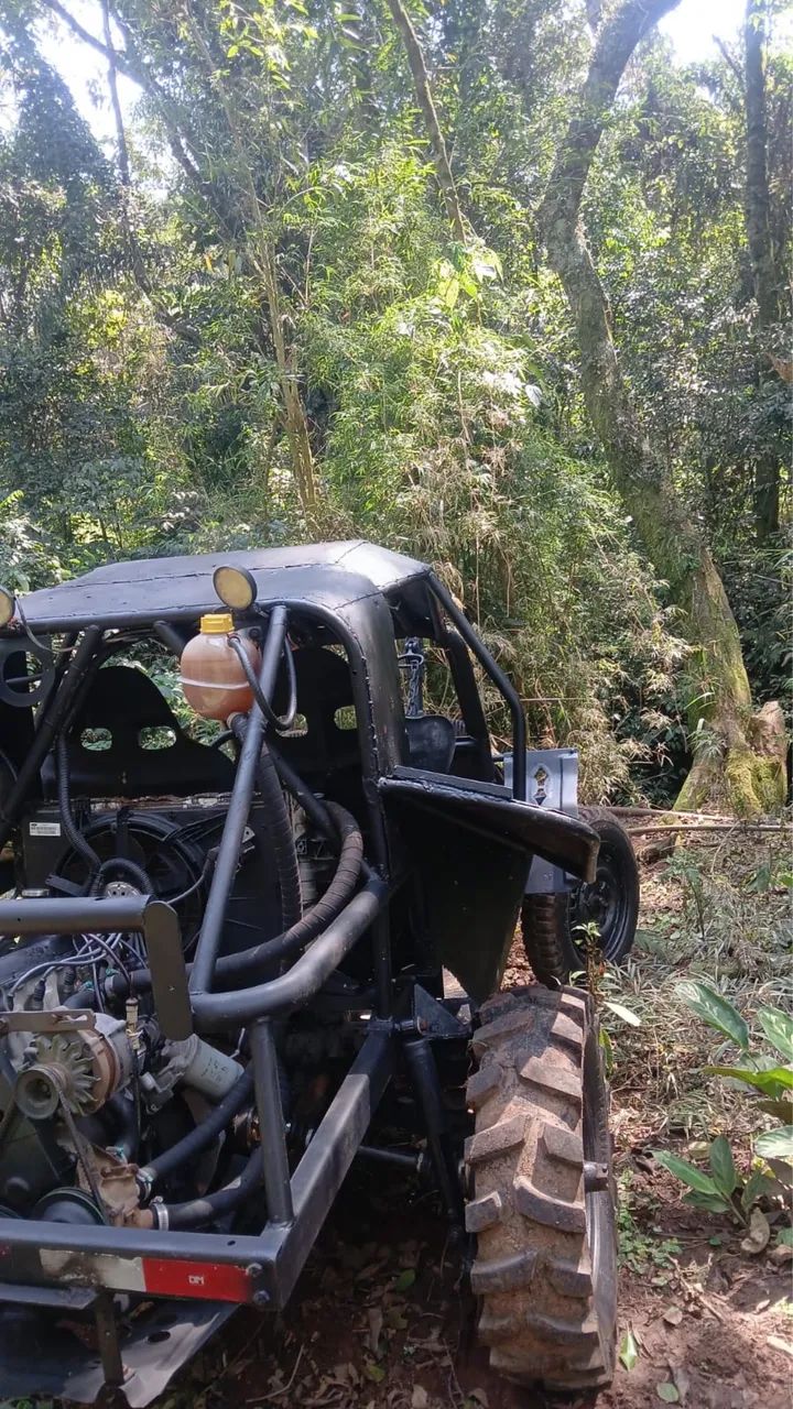 Volkswagen Buggy 1.6 8V Gasolina 2P Manual 1980