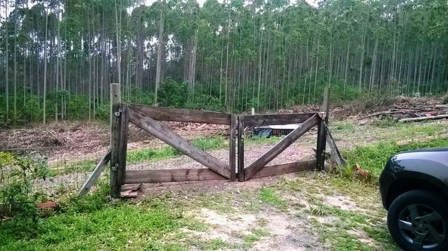 Sitio para Laser na Costa da Serra - Montenegro - 18 - Foto 14
