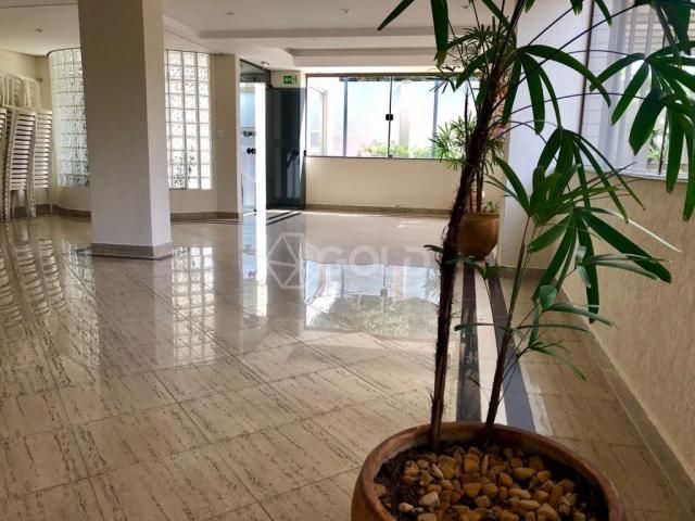 Apartamento à venda, 3 quartos, 2 vagas, cidade nova - franca/sp - Foto 4