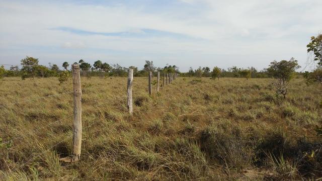 Fazenda com 4300 hectares no Bonfim, ler descrição do anuncio - Foto 4