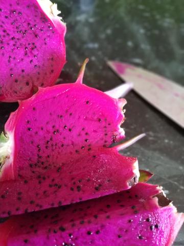 Mudas de pitaya - Foto 3