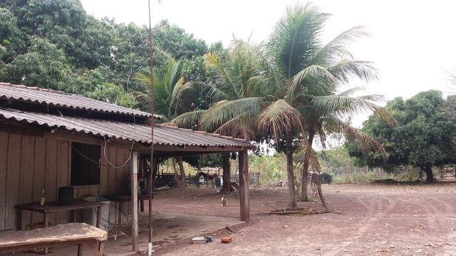 Vendo uma chácara - Foto 4