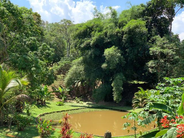 Sítio Guapimirim - Foto 4