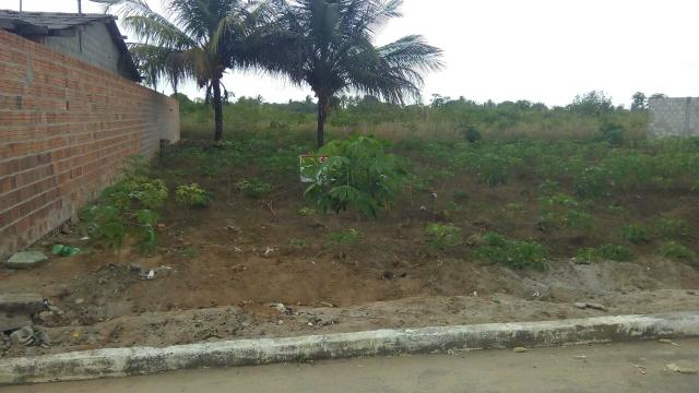 Teotonio vilela. vendo terreno - Foto 2
