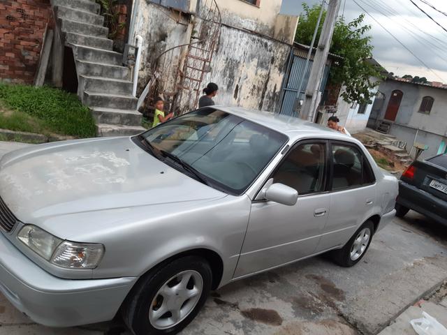 Corolla top