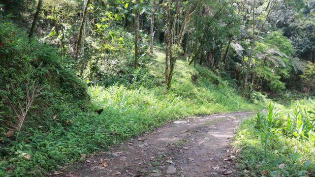 Área em Morretes - Foto 18