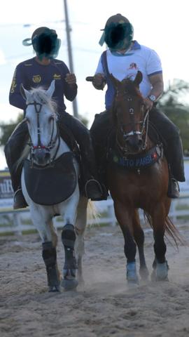 Cavalo de esteira - Foto 4