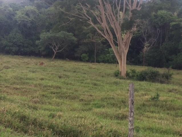 Sitio Inhumas go - Foto 10