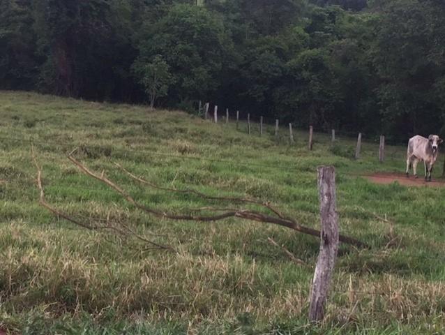 Sitio Inhumas go - Foto 5