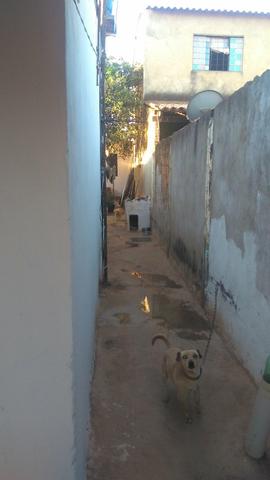 Casa - Foto 5