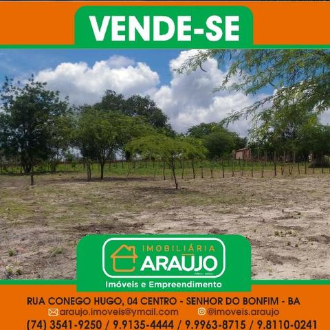 Vende-se uma chácara - Foto 8