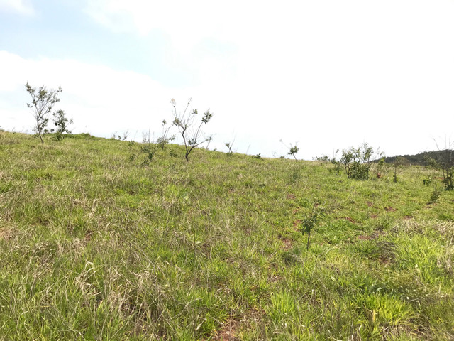 GL23/ Vende-se Lotes de 1000 metros em Mairinque SP - Foto 11