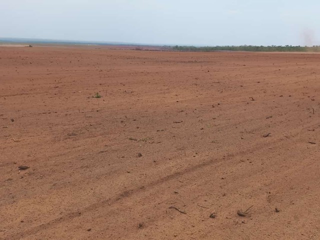 Fazenda 11 mil  Hectares  município de Pedro Afonso  - Foto 2