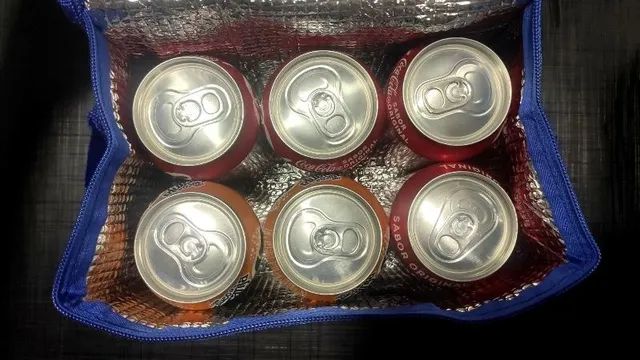 Bolsa Térmica 5L - Foto 4