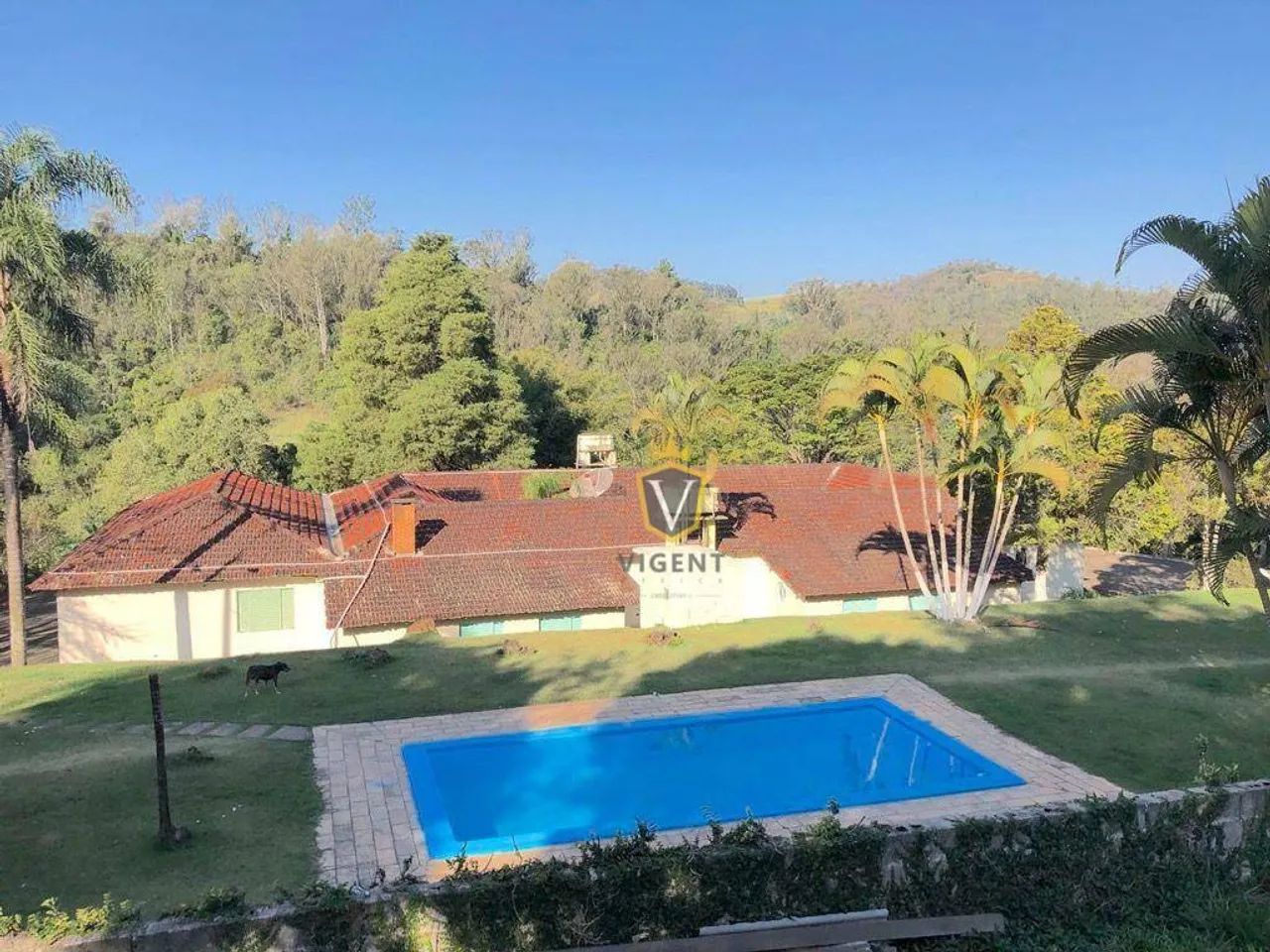 Sítio à venda, 224000 m² por R$ 3.500.000,00 - Jardim Seabra - Amparo/SP - Foto 3