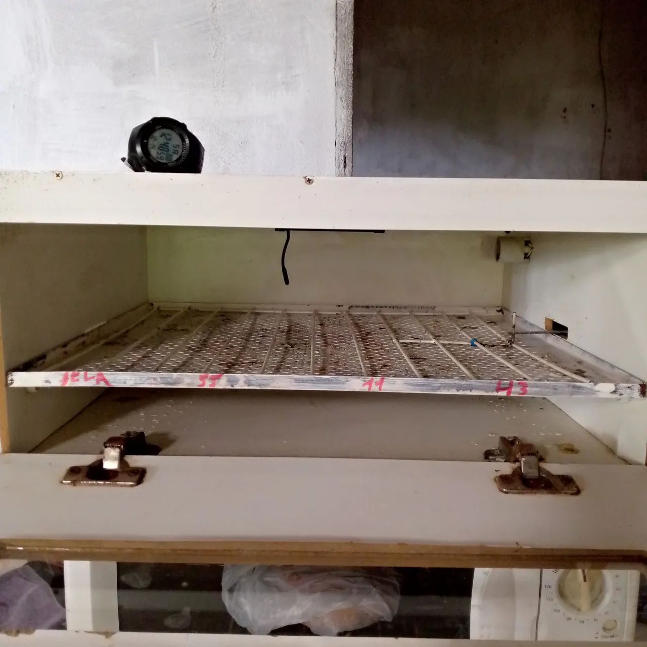 Chocadeira para ovos de galinha - GP Chocadeiras - Foto 2