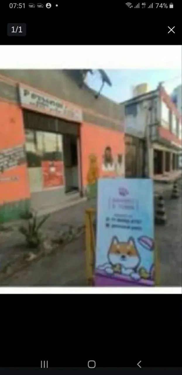 Banho e Tosa Procura Parceiros