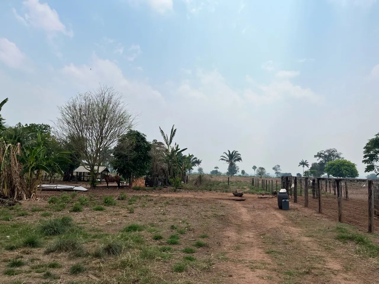 Fazenda disponível, São Domingos do Araguaia. - Foto 3